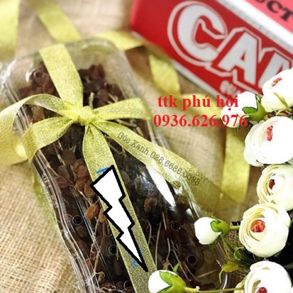 HỘP NHỰA ĐỰNG NHO KHÔ NGUYÊN CÀNH
